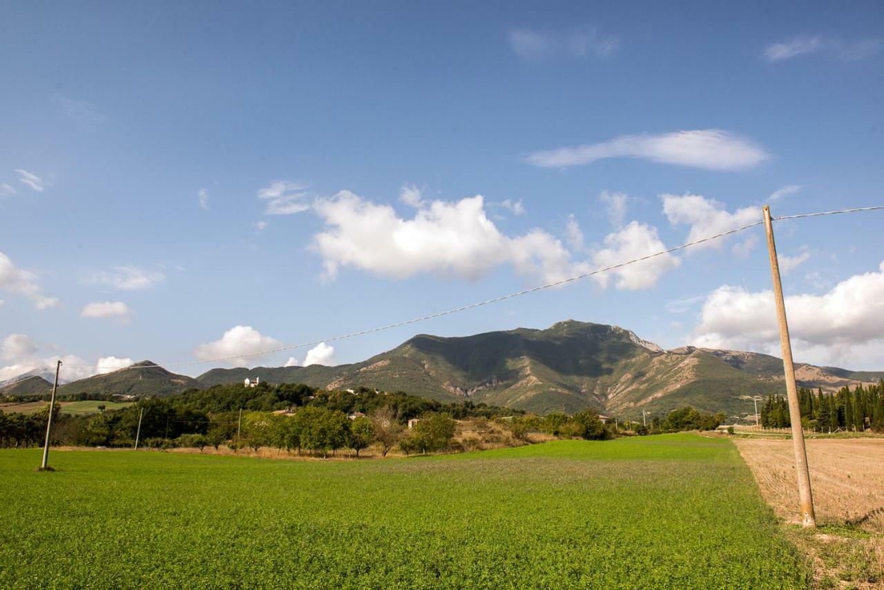 Casamenetto Vacanze Daire Sassoferrato Dış mekan fotoğraf
